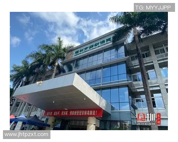 深圳排球队逆袭之旅揭秘：从低谷到巅峰的选拔赛特别报道