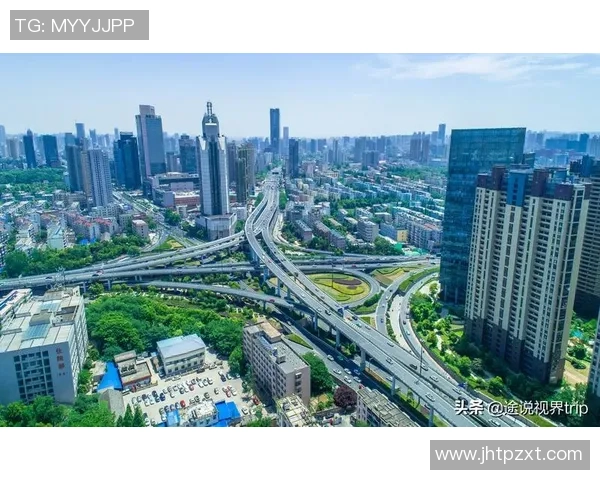 成都排球队实力解析：从历史成就到未来展望的全面探讨