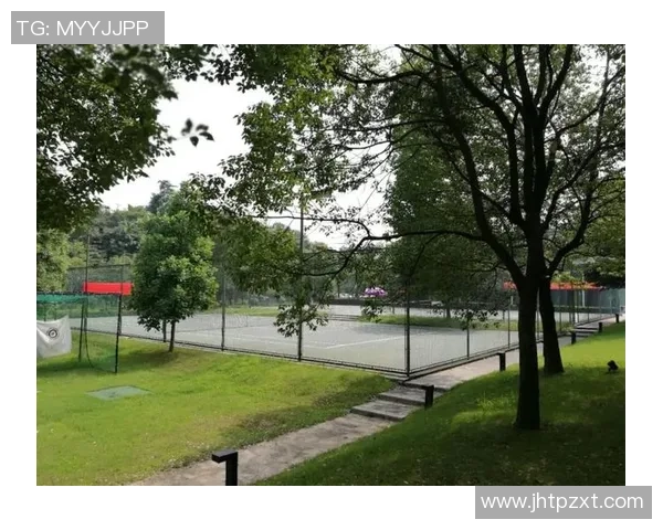 杭州排球队的奋斗历程与大师赛荣耀之路探秘